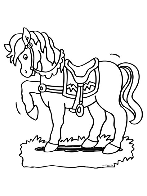 Kleurplaten Paard Brekelmansadviesgroep