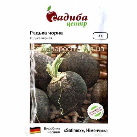 Редька ЗИМНЯЯ ЧЕРНАЯ SATIMEX ВЫСОКОУРОЖАЙНАЯ 3 грамма Картинка - Редька ЗИМНЯЯ ЧЕРНАЯ SATIMEX ВЫСОКОУРОЖАЙНАЯ 3 грамма