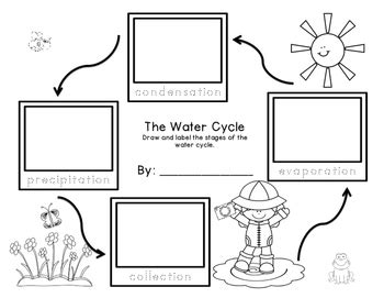 Landform vocabulary words include mountain, hill, cliff, plateau, plain, mesa, and canyon. Water Cycle Sequencing Freebie grades K-2 by First Grade ...