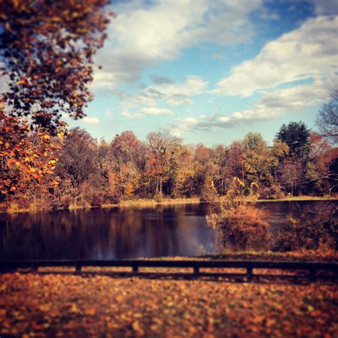 Fall at Olde Izaak Walton Park in Leesburg (behind Food Lion on King St