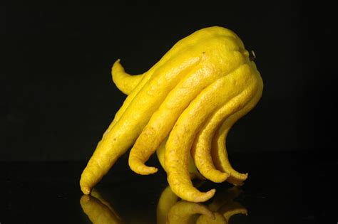 This colorful and unusual fruit is in season from october through january, so now is the perfect time to experience the sweet and tart taste for yourself. 10 Weird, Wild, and Wonderful Fruits You Should Try