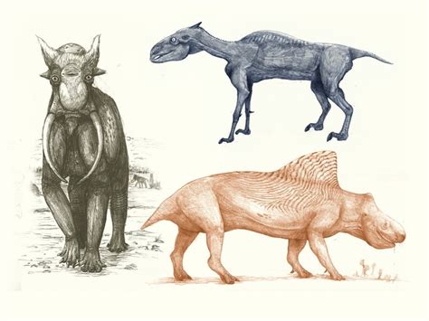 Modern Animals Drawn Like Dinosaurs Based Only On Bones Can You Actually