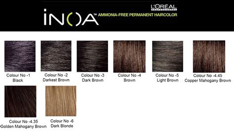The Best Inoa Hair Color Chart Pdf And Pics Hair Color Chart Loreal