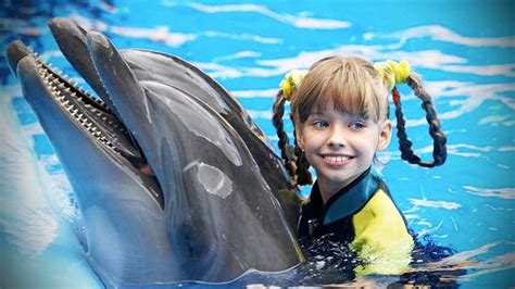Dolphins are known for being affable, intelligent creatures but many wonder how smart they truly are. Dolphins 🐬 Smart, Beautiful, Funny Dolphins! [Funny Pets ...