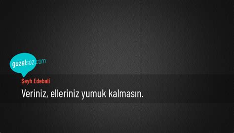 Şeyh edebâlî, bilecik'te fıkıh, tefsîr ve hadîs ilimleri üzerinde dersler verdi. Şeyh Edebali Sözleri