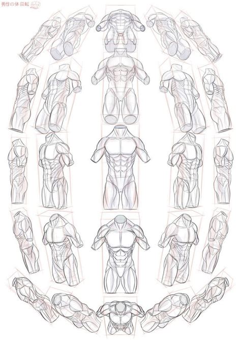 Male Body In Perspective Art Drawings Drawings Body Reference Drawing