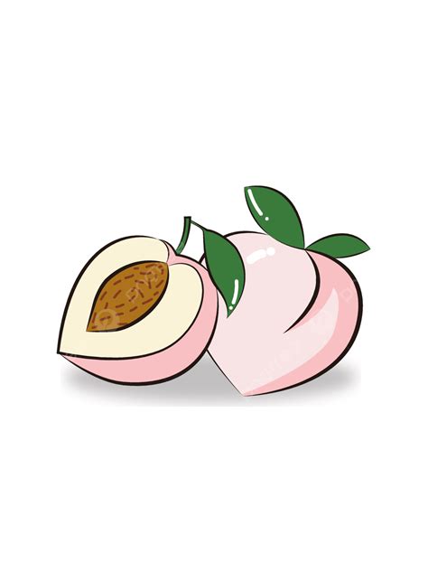 Vector Pink Peach Elements Spring Honey Peach Peach Png And Vector