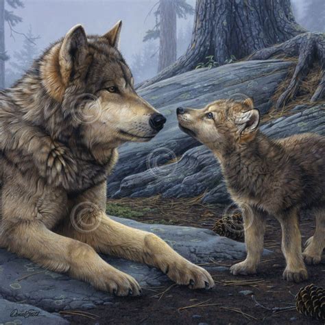 Wolf Art Print Brother Wolf Detail Daniel Smith 12x12 Wolves