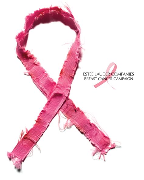 The Breast Cancer Campaign Honors Its 25th Anniversary The Estée