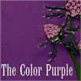 Pictures of Color Purple Quotes