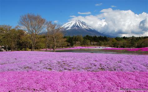Images with landscapes in hd 1920x1080 and 4k uhd 3840x2160. Scenery - Windows 10 Wallpapers Desktop Background