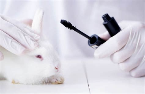 Another one for a matter of fact is that not many are aware of it. China Almost Ended Post-Market Animal Testing, But Here's ...