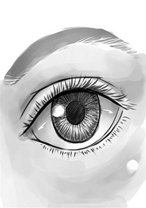 How To Draw A Human Eye Eye Drawing Drawings Realistic Eye Drawing