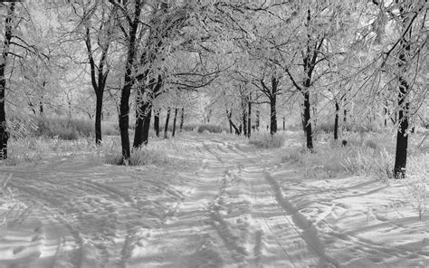Trails In The Snow Winter Mac Wallpaper Download Allmacwallpaper