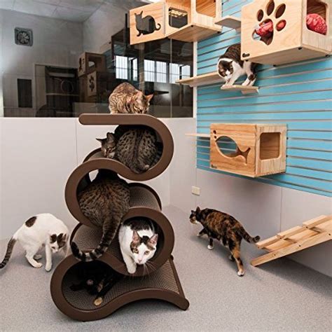 Who should buy a cat tree? The Luxury Curvynest Cat Tree - | Cat Tree UK - The UKs ...