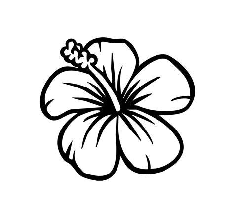 20 views  Hawaiian flower drawing, Hibiscus drawing, Flower coloring pages