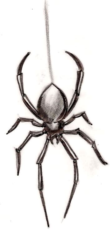 Black Widow Spider Tattoo By Metacharis On Deviantart Spider Tattoo