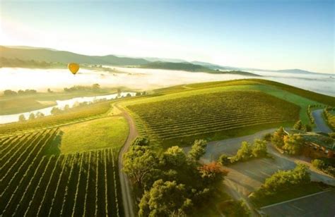 Macedon Ranges Wine Tour Great Private Tours