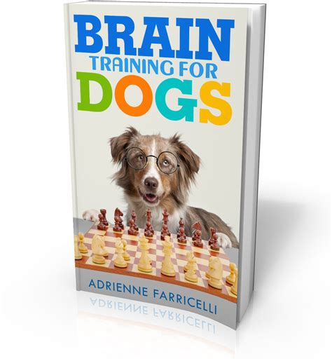 Treinamento de Cães