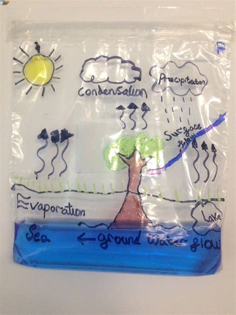 The Water Cycle Teaching Ideas Ciclo Del Agua Proyectos De Ciencia