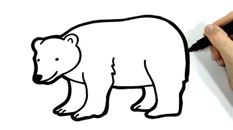 Como dibujar un oso polar | Dibujar un oso polar fácil - YouTube