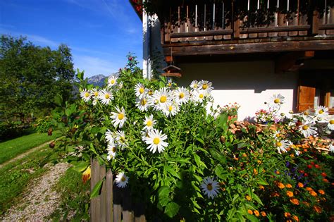 Unsere haus hat die hausnummer 32 und befindet sich auf der linken seite der straße (name . und nummer befinden sich am torpfosten). Unser Haus - Bamacherhof GrossgmainBamacherhof Grossgmain