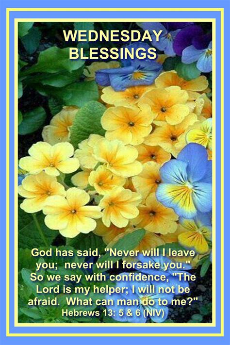 Wednesday | Good morning flowers quotes, Wednesday morning greetings