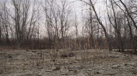 Wilderness, Barren Wasteland, Middle East, Dry, Desolate 14301099 Stock