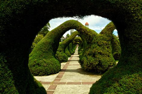 19 Magical Tree Tunnels You Should Definitely Take A Walk