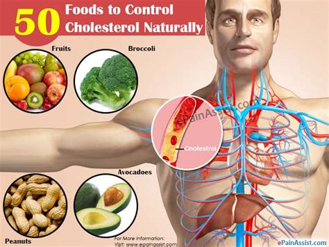 50 Foods To Control Cholesterol Naturally