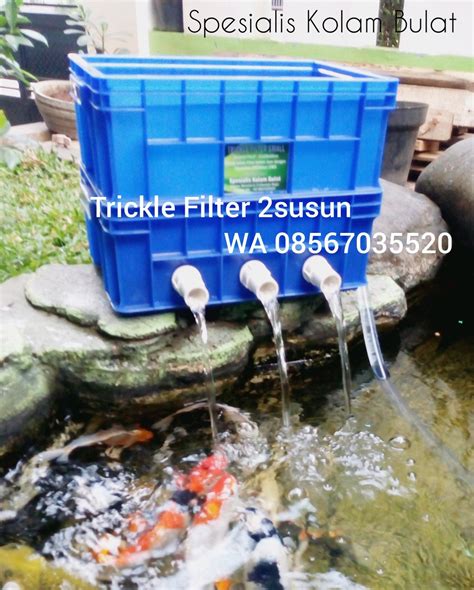 Artikel kolam & ikan lihat selengkapnya. Jual TRICKLE FILTER KOLAM IKAN KOI 2 SUSUN SMALL di lapak ...