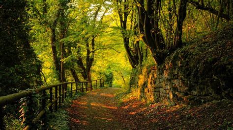 For those of you who constantly need nature in order to feel good, we have many amazing nature wallpapers for you to be enchanted by. Nature Wallpapers Desktop - Wallpaper Cave