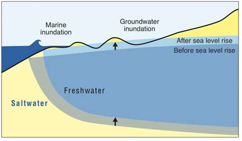 As Sea Level Rises Much Of Honolulu And Waikiki Vulnerable To Groundwater Inundation