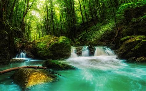 Nature Landscape Waterfall Forest Water Sunlight Wallpaper