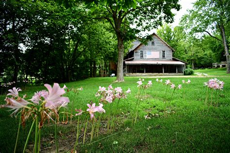 Fair Grove’s Wommack Mill represents decades of dedication — Ozarks Alive