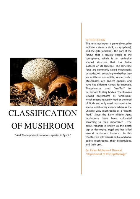 Pdf Classification Of Mushroom And The Important Poisonous Species