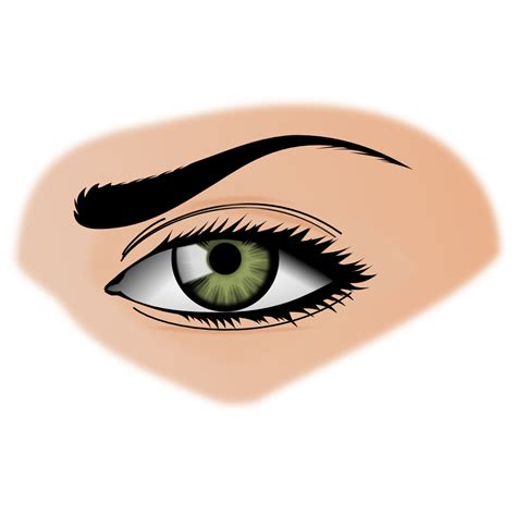 Free Thick Eyebrows Cliparts Download Free Thick Eyebrows Cliparts Png