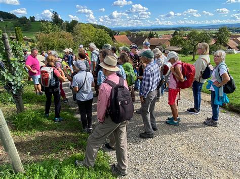 Zürcher Wanderwege | Veranstaltungen
