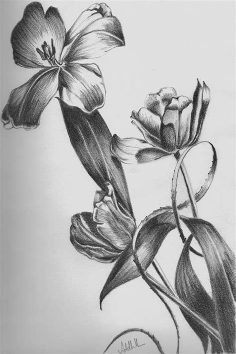 50 Easy Flower Pencil Drawings For Inspiration Flower Drawing Pencil