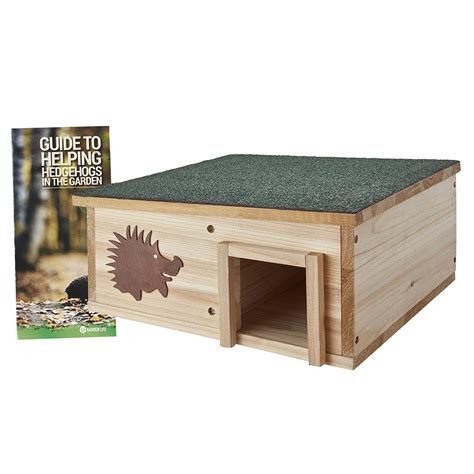 Best Hedgehog House 2020 Comparison And Guide Greatest Reviews