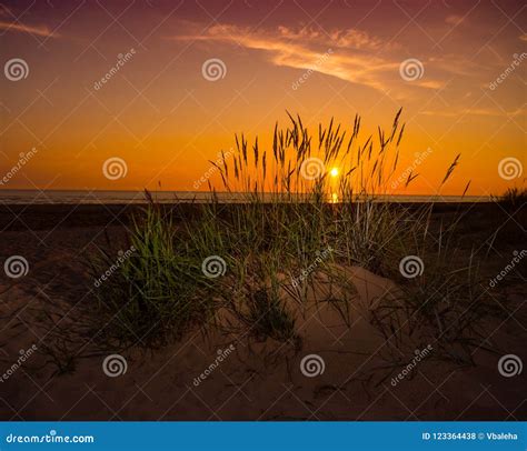 Grass On Sand Dune And Sunset Over Beach Stock Photo Image Of Summer