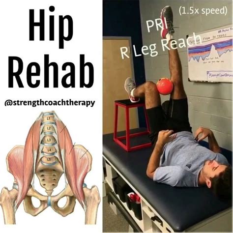 Hip Rehab Prehab This Is An Old Post And Honestly One Of My Best