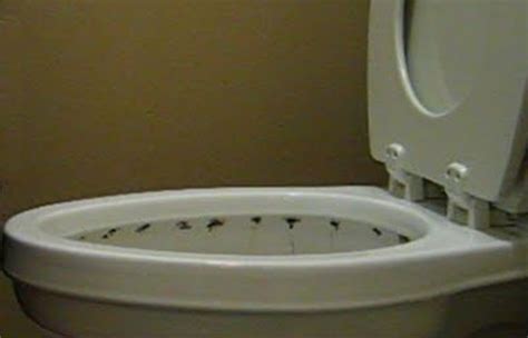 How To Clean Under Toilet Rim Stains Rings And Limescale Toiletseek