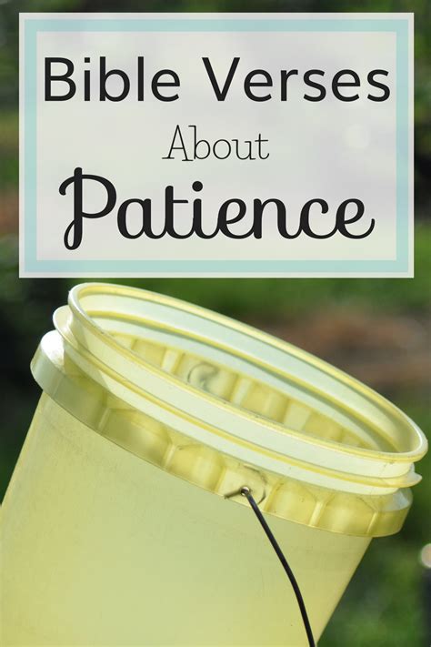 Bible Verses About Patience The Littlest Way