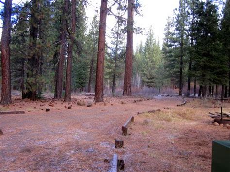 Conklin Park Campground In Plumas National Forest Plumas California