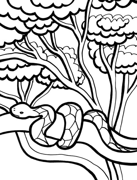 Like all reptiles, snakes rely on the heat. Snake Coloring Pages | Coloring Kids