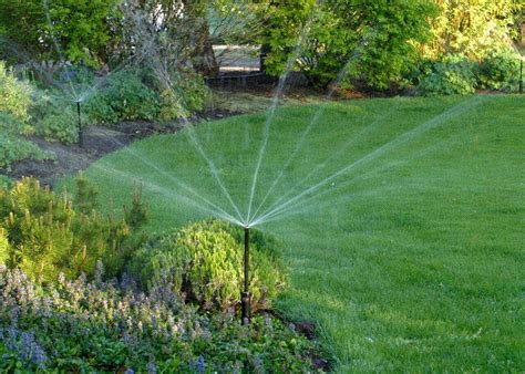 Your Ultimate Guide To Garden Watering Live Enhanced