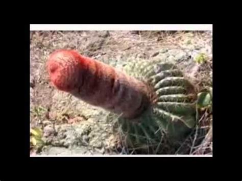 Es gibt für jede lebenslage den passenden spruch. Lustige Bilder - YouTube