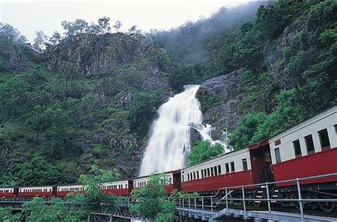 Book great barrier reef sailing and snorkeling cruise from port douglas, aboriginal cultural daintree rainforest tour from cairns or port inspiration to see the planet. THE 10 BEST Things to Do in Cairns 2018 - Must See ...