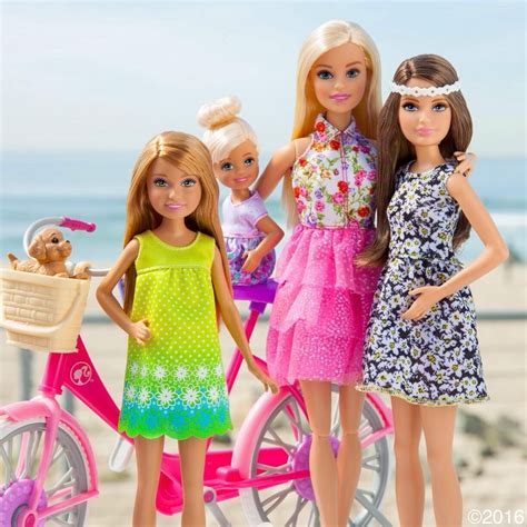 tinkevidia doll clothes barbie barbie and her sisters barbie sisters